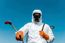 Best Organic or Eco-Friendly Pest Control  in Fellsmere, FL